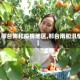 【邢台南和疫情地区,邢台南和汛情】