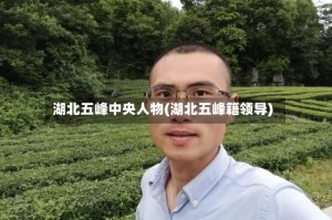 湖北五峰中央人物(湖北五峰籍领导)