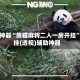 辅助神器“熊猫麻将二人一房开挂”开挂(透视)辅助神器