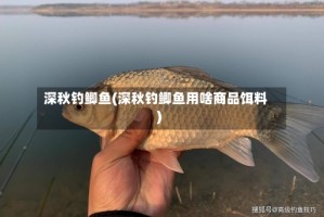 深秋钓鲫鱼(深秋钓鲫鱼用啥商品饵料)