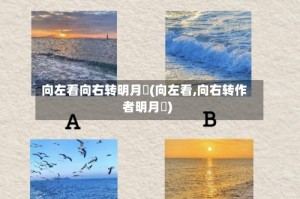 向左看向右转明月珰(向左看,向右转作者明月珰)