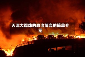 天津大爆炸的政治博弈的简单介绍