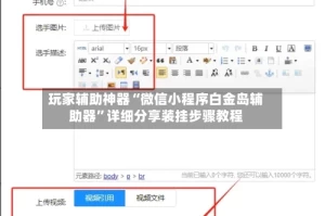 玩家辅助神器“微信小程序白金岛辅助器”详细分享装挂步骤教程