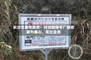 长沙市委市政府：对浏阳烟花厂爆炸极为痛心、无比自责