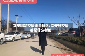 文安哪是疫情重点地区/文安县疫情都是什么村的