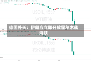 德国外长：伊朗应立即开放霍尔木兹海峡