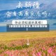 【新疆地区疫情反复,新疆疫情好转】