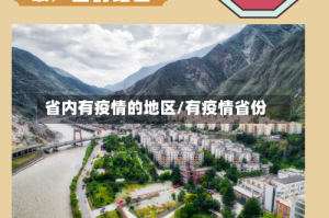 省内有疫情的地区/有疫情省份