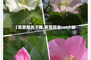 【芙蓉颜色下载,芙蓉颜色txt小说】