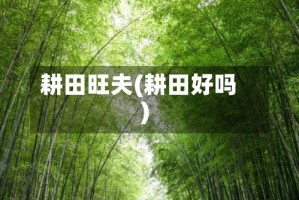 耕田旺夫(耕田好吗)