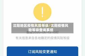 沈阳地区疫情风险等级/沈阳疫情风险等级查询系统