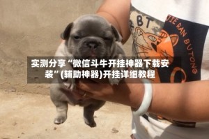实测分享“微信斗牛开挂神器下载安装”(辅助神器)开挂详细教程