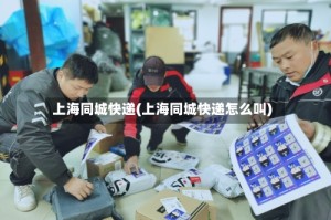 上海同城快递(上海同城快递怎么叫)