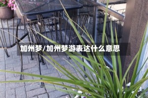 加州梦/加州梦游表达什么意思