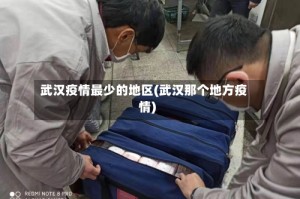 武汉疫情最少的地区(武汉那个地方疫情)
