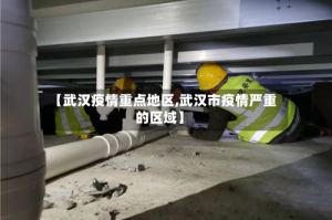 【武汉疫情重点地区,武汉市疫情严重的区域】