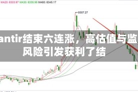 Palantir结束六连涨，高估值与监管风险引发获利了结
