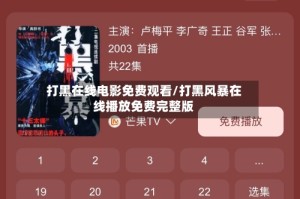 打黑在线电影免费观看/打黑风暴在线播放免费完整版