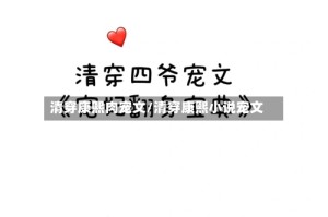 清穿康熙肉宠文/清穿康熙小说宠文