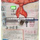 【大队委竞选海报,大队委竞选海报简单】