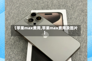 【苹果max费用,苹果max费用及图片】