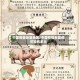 中国疫情反复地区/中国疫情反复的可能有多大