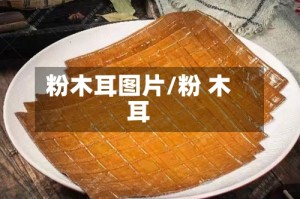 粉木耳图片/粉 木耳