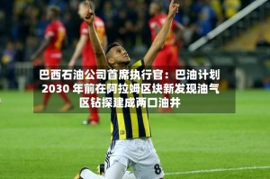 巴西石油公司首席执行官：巴油计划 2030 年前在阿拉姆区块新发现油气区钻探建成两口油井