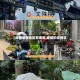 【成都疫情地区有哪些,成都的疫情区】