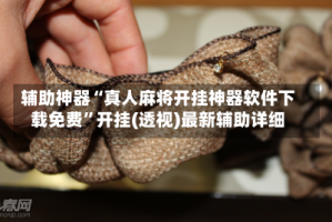 辅助神器“真人麻将开挂神器软件下载免费”开挂(透视)最新辅助详细