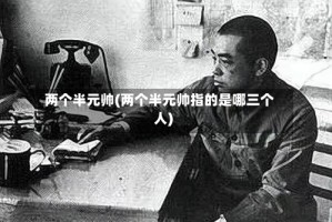 两个半元帅(两个半元帅指的是哪三个人)
