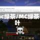 mc绿茶/MC绿茶叶