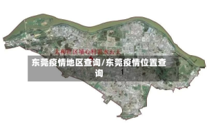 东莞疫情地区查询/东莞疫情位置查询