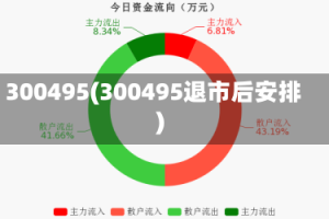 300495(300495退市后安排)