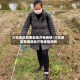 川东地区有哪些地方有疫情/川东地区有哪些地方有疫情病例