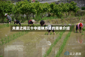 夫妻之间三十中插秧方法的简单介绍