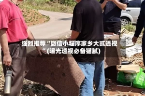 强烈推荐“微信小程序家乡大贰透视”(曝光透视必备猫腻)