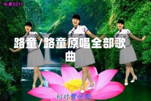 路童/路童原唱全部歌曲