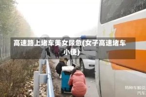 高速路上堵车美女尿急(女子高速堵车小便)