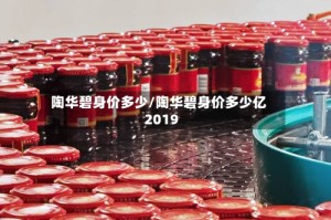 陶华碧身价多少/陶华碧身价多少亿2019