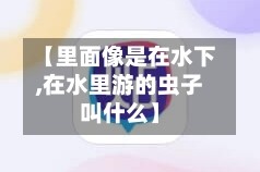 【里面像是在水下,在水里游的虫子叫什么】