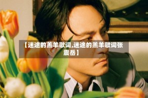 【迷途的羔羊歌词,迷途的羔羊歌词张震岳】