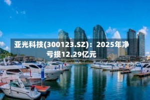 亚光科技(300123.SZ)：2025年净亏损12.29亿元