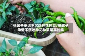 张馨予承诺不沉迷种花种菜/张馨予承诺不沉迷种花种菜是真的吗