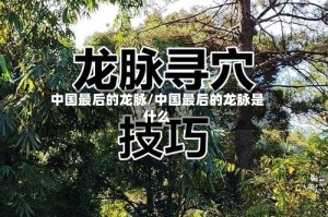 中国最后的龙脉/中国最后的龙脉是什么
