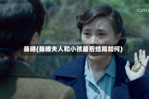 聂曦(聂曦夫人和小孩最后结局如何)