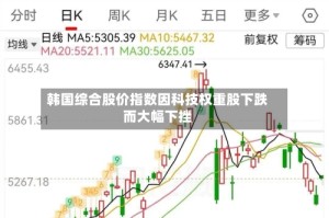 韩国综合股价指数因科技权重股下跌而大幅下挫