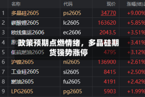 政策预期点燃情绪，多晶硅期货强势涨停