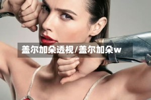盖尔加朵透视/盖尔加朵w
