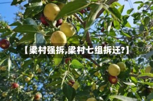 【梁村强拆,梁村七组拆迁?】